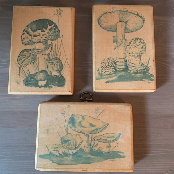 Other - Vintage Mushroom Wooden Wall Hangings - Set of 3